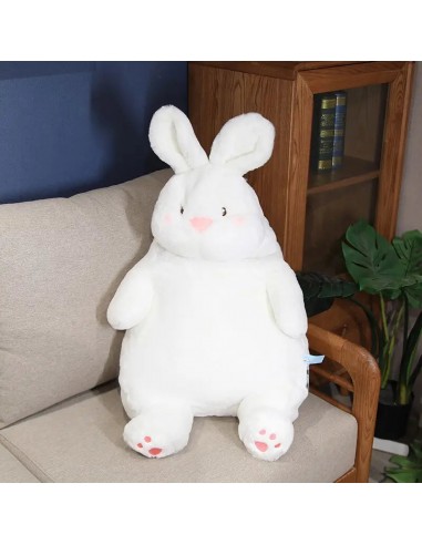 Rabbit Robin hug en stock